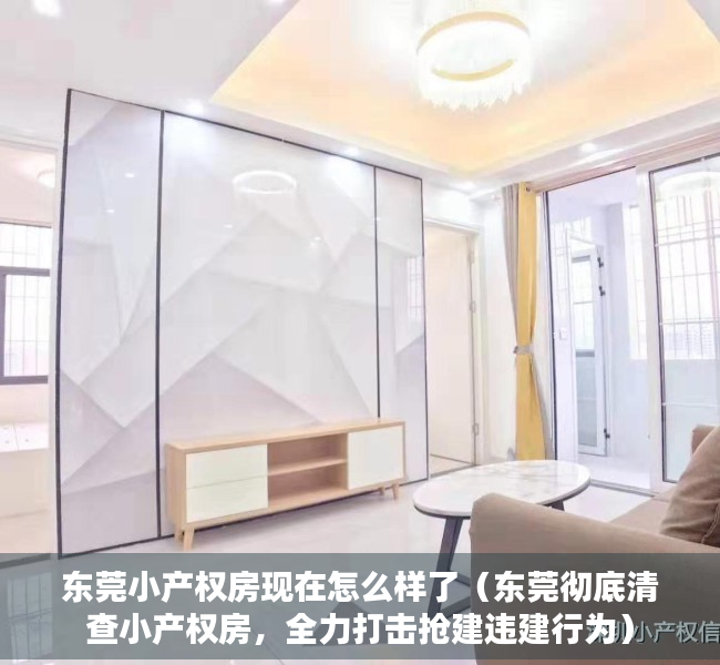 东莞小产权房现在怎么样了（东莞彻底清查小产权房，全力打击抢建违建行为）