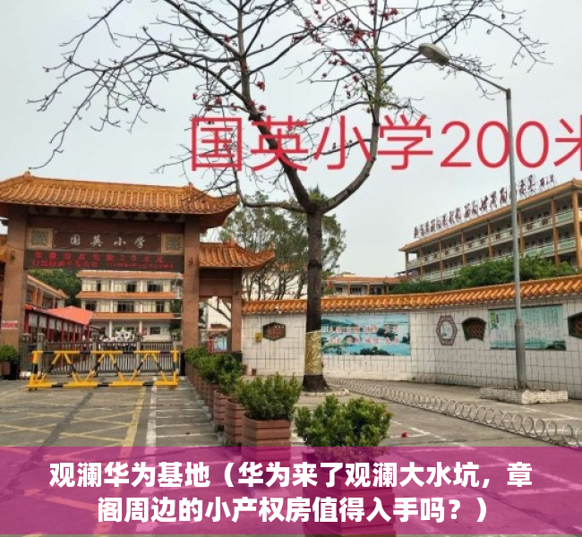 观澜华为基地（华为来了观澜大水坑，章阁周边的小产权房值得入手吗？）