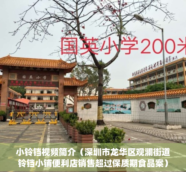 小铃铛视频简介（深圳市龙华区观澜街道铃铛小铺便利店销售超过保质期食品案）