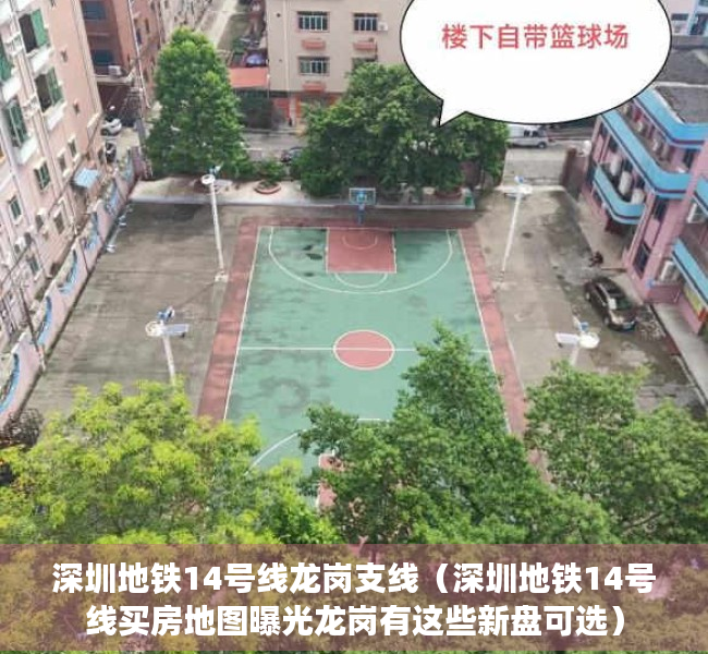 深圳地铁14号线龙岗支线（深圳地铁14号线买房地图曝光龙岗有这些新盘可选）