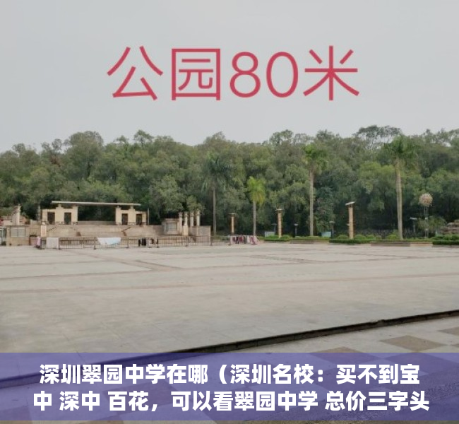 深圳翠园中学在哪（深圳名校：买不到宝中 深中 百花，可以看翠园中学 总价三字头起）