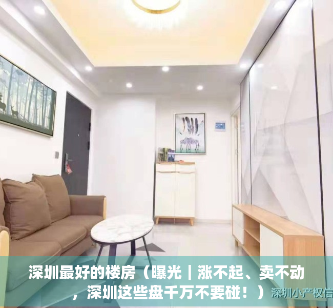 深圳最好的楼房（曝光｜涨不起、卖不动，深圳这些盘千万不要碰！）