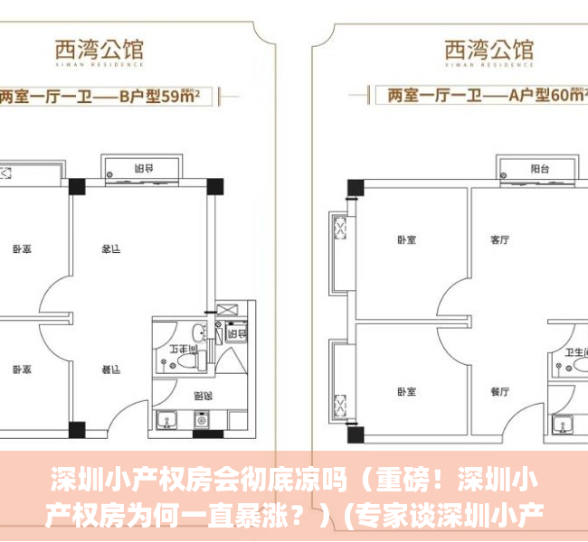 深圳小产权房会彻底凉吗（重磅！深圳小产权房为何一直暴涨？）(专家谈深圳小产权房的未来)
