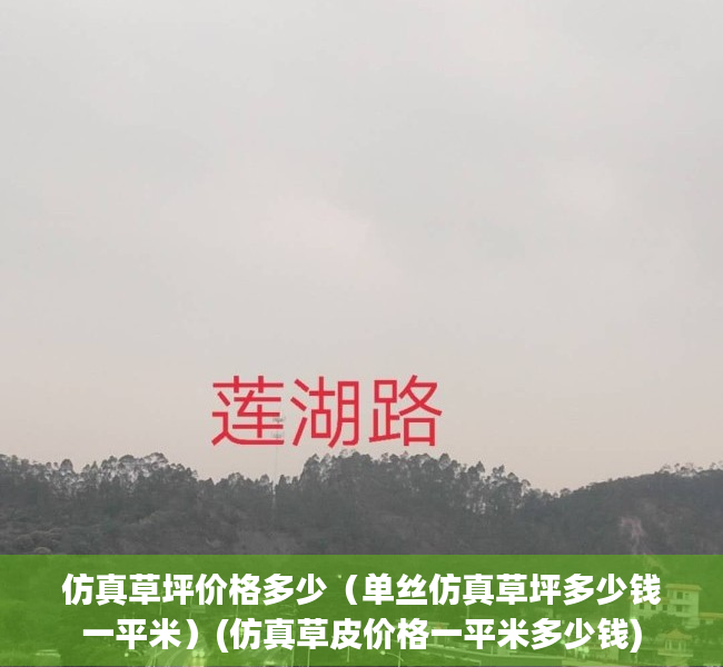 仿真草坪价格多少（单丝仿真草坪多少钱一平米）(仿真草皮价格一平米多少钱)