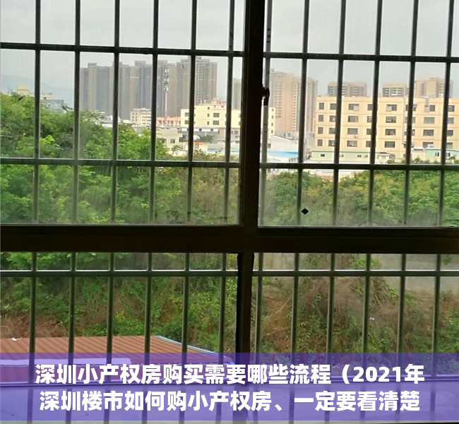 深圳小产权房购买需要哪些流程（2021年深圳楼市如何购小产权房、一定要看清楚这两个方向）