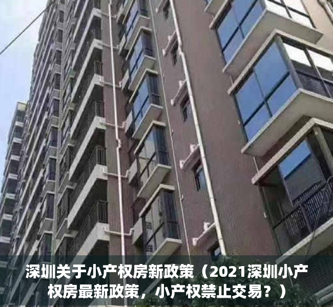 深圳关于小产权房新政策（2021深圳小产权房最新政策，小产权禁止交易？）