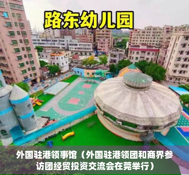 外国驻港领事馆（外国驻港领团和商界参访团经贸投资交流会在莞举行）