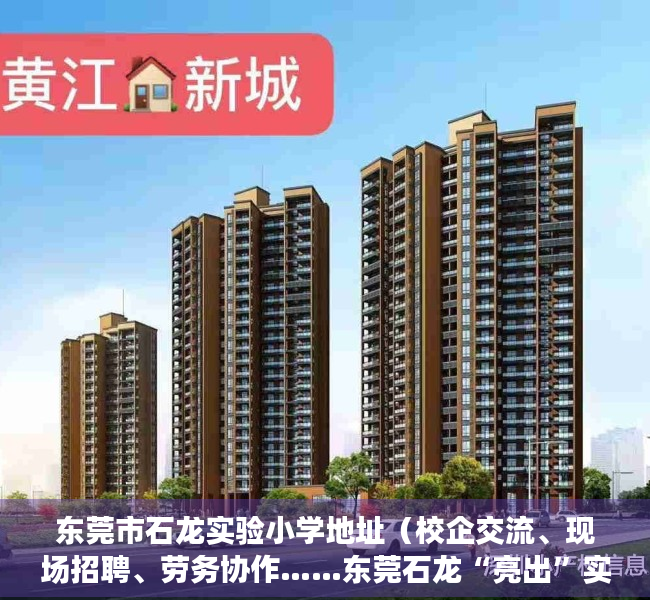 东莞市石龙实验小学地址（校企交流、现场招聘、劳务协作……东莞石龙“亮出”实招助力韶关共发展）