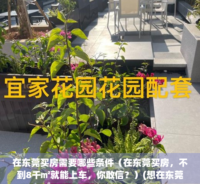 在东莞买房需要哪些条件（在东莞买房，不到8千㎡就能上车，你敢信？）(想在东莞买房需要什么条件)