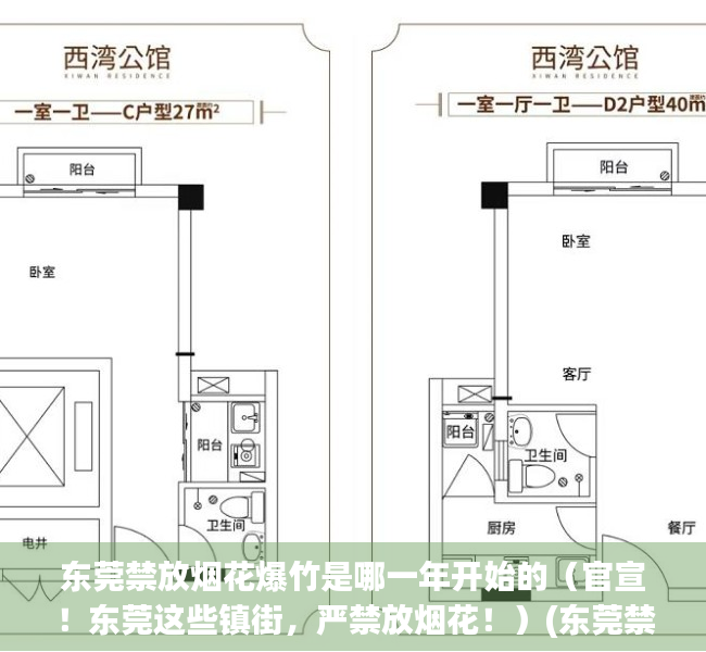 东莞禁放烟花爆竹是哪一年开始的（官宣！东莞这些镇街，严禁放烟花！）(东莞禁放鞭炮吗)