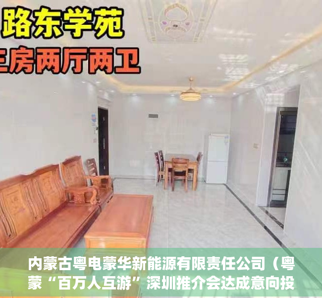 内蒙古粤电蒙华新能源有限责任公司（粤蒙“百万人互游”深圳推介会达成意向投资216亿元）