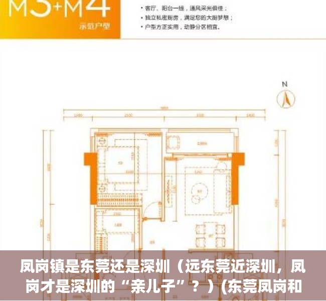 凤岗镇是东莞还是深圳（远东莞近深圳，凤岗才是深圳的“亲儿子”？）(东莞凤岗和深圳凤岗是一个地方吗?)