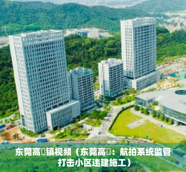 东莞高埗镇视频（东莞高埗：航拍系统监管 打击小区违建施工）