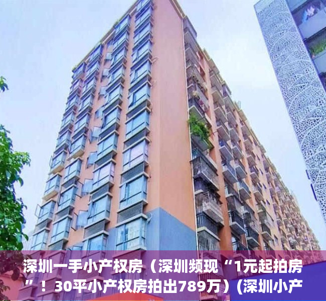 深圳一手小产权房（深圳频现“1元起拍房”！30平小产权房拍出789万）(深圳小产权房出售价格)