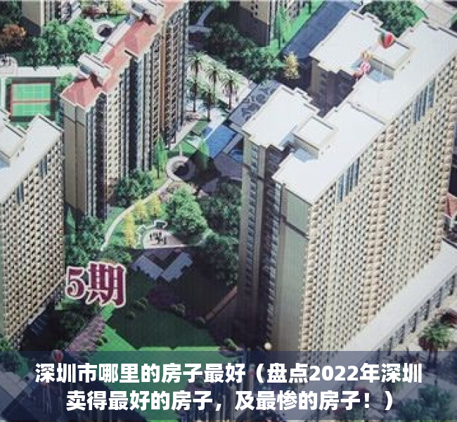 深圳市哪里的房子最好（盘点2022年深圳卖得最好的房子，及最惨的房子！）