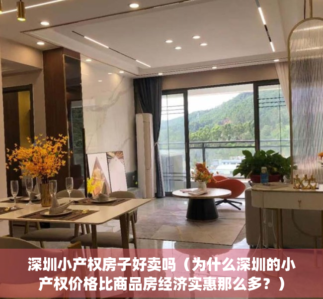深圳小产权房子好卖吗（为什么深圳的小产权价格比商品房经济实惠那么多？）