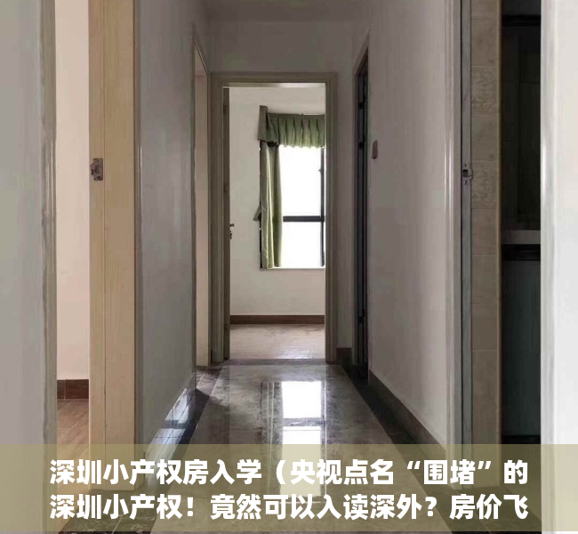 深圳小产权房入学（央视点名“围堵”的深圳小产权！竟然可以入读深外？房价飞涨到停摆！）