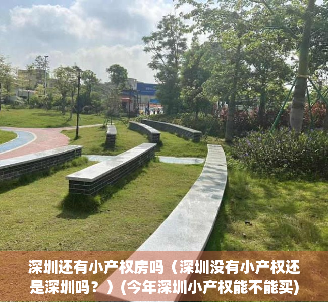 深圳还有小产权房吗（深圳没有小产权还是深圳吗？）(今年深圳小产权能不能买)