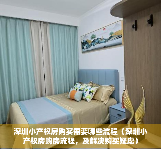 深圳小产权房购买需要哪些流程（深圳小产权房购房流程，及解决购买疑虑）