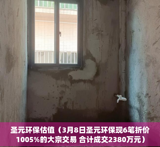 圣元环保估值（3月8日圣元环保现6笔折价1005%的大宗交易 合计成交2380万元）
