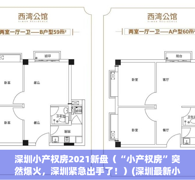 深圳小产权房2021新盘（“小产权房”突然爆火，深圳紧急出手了！）(深圳最新小产权房房源)