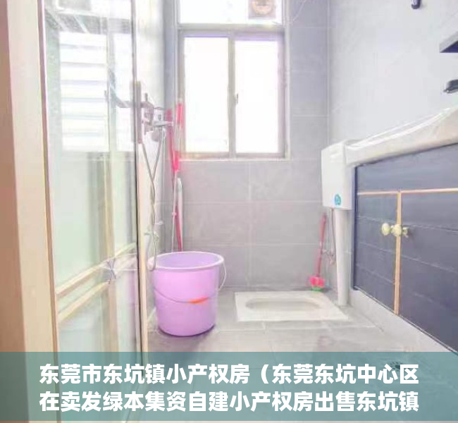 东莞市东坑镇小产权房（东莞东坑中心区在卖发绿本集资自建小产权房出售东坑镇发绿本统建楼小产权房出售现房可分期）
