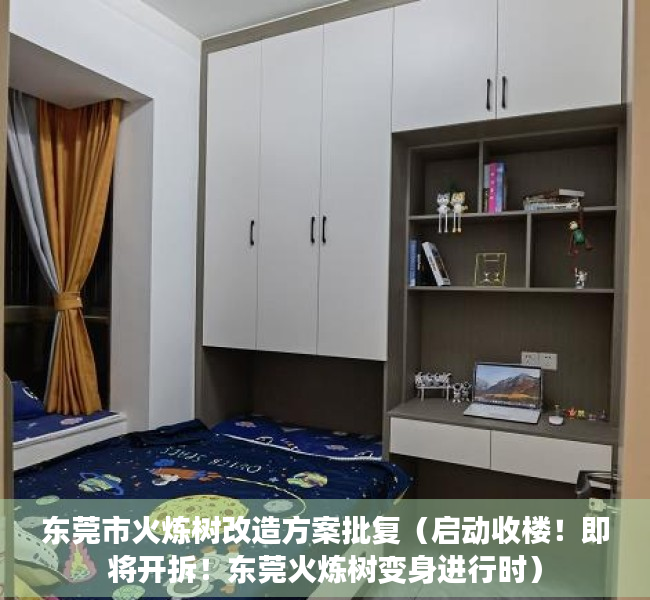 东莞市火炼树改造方案批复（启动收楼！即将开拆！东莞火炼树变身进行时）
