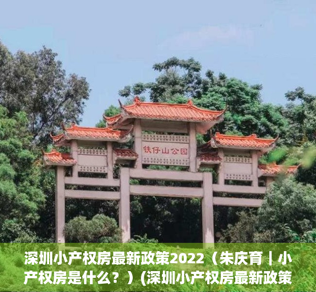 深圳小产权房最新政策2022（朱庆育｜小产权房是什么？）(深圳小产权房最新政策出台)