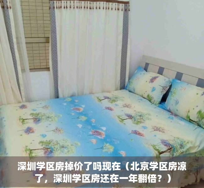 深圳学区房掉价了吗现在（北京学区房凉了，深圳学区房还在一年翻倍？）