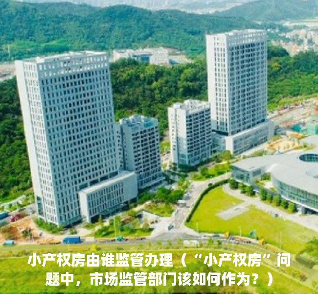 小产权房由谁监管办理（“小产权房”问题中，市场监管部门该如何作为？）