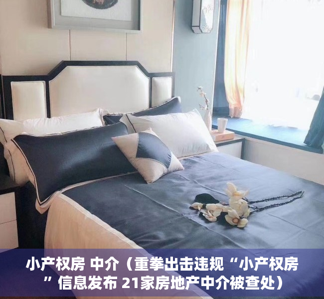 小产权房 中介（重拳出击违规“小产权房”信息发布 21家房地产中介被查处）