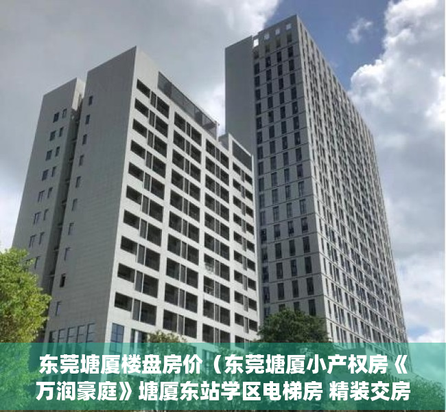 东莞塘厦楼盘房价（东莞塘厦小产权房《万润豪庭》塘厦东站学区电梯房 精装交房南北通透两房37W起）