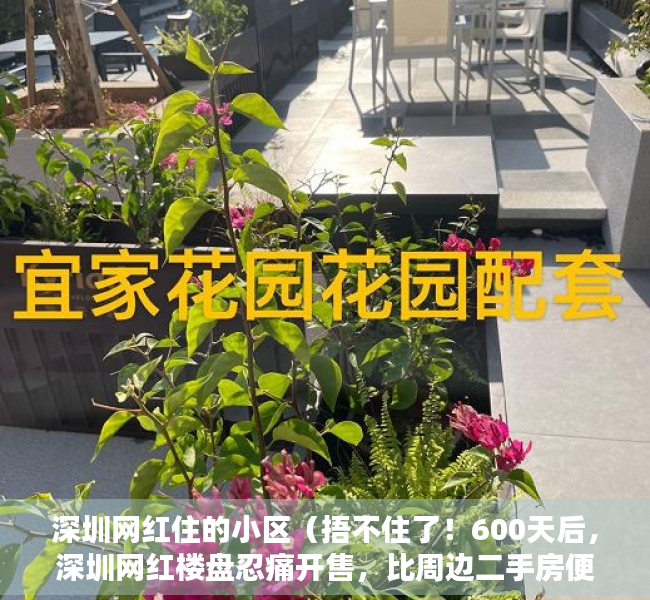 深圳网红住的小区（捂不住了！600天后，深圳网红楼盘忍痛开售，比周边二手房便宜百万）