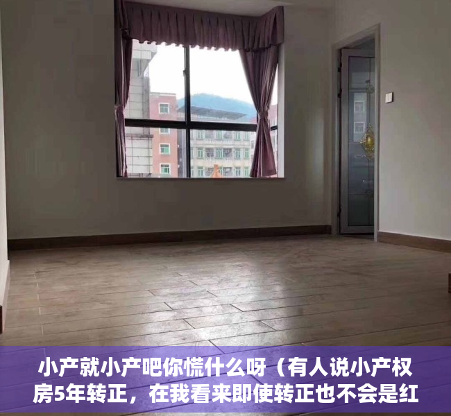 小产就小产吧你慌什么呀（有人说小产权房5年转正，在我看来即使转正也不会是红本房产证）