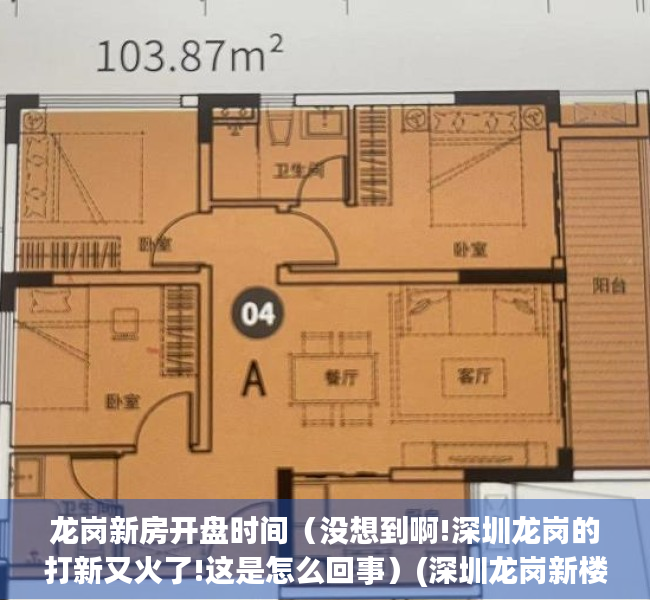 龙岗新房开盘时间（没想到啊!深圳龙岗的打新又火了!这是怎么回事）(深圳龙岗新楼盘2020年开盘)