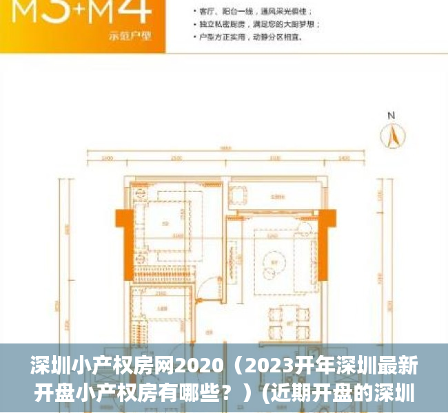 深圳小产权房网2020（2023开年深圳最新开盘小产权房有哪些？）(近期开盘的深圳小产权房)