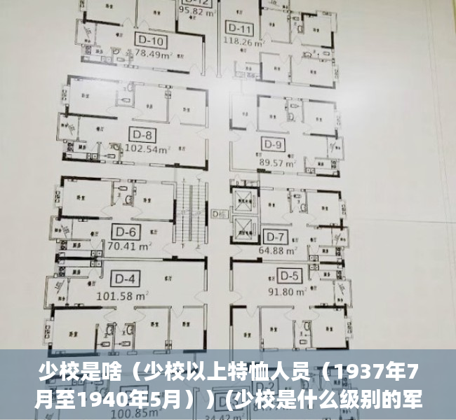 少校是啥（少校以上特恤人员（1937年7月至1940年5月））(少校是什么级别的军衔待遇是什么)