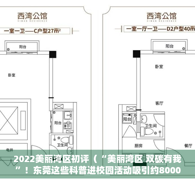 2022美丽湾区初评（“美丽湾区 双碳有我”！东莞这些科普进校园活动吸引约8000人次参与）