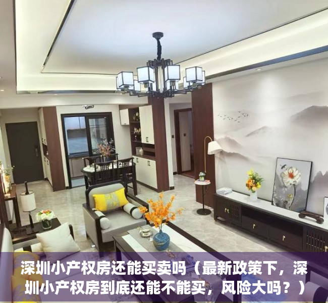 深圳小产权房还能买卖吗（最新政策下，深圳小产权房到底还能不能买，风险大吗？）
