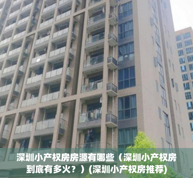 深圳小产权房房源有哪些（深圳小产权房到底有多火？）(深圳小产权房推荐)