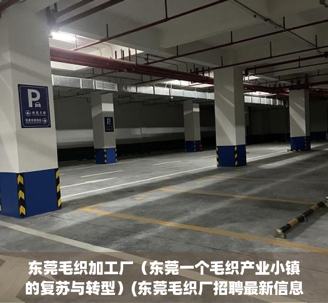 东莞毛织加工厂（东莞一个毛织产业小镇的复苏与转型）(东莞毛织厂招聘最新信息:58同城)