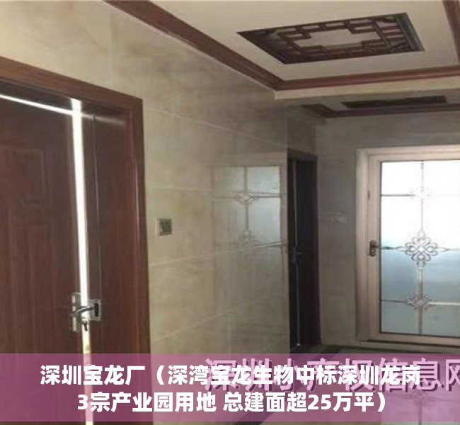 深圳宝龙厂（深湾宝龙生物中标深圳龙岗3宗产业园用地 总建面超25万平）