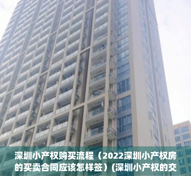 深圳小产权购买流程（2022深圳小产权房的买卖合同应该怎样签）(深圳小产权的交易流程)