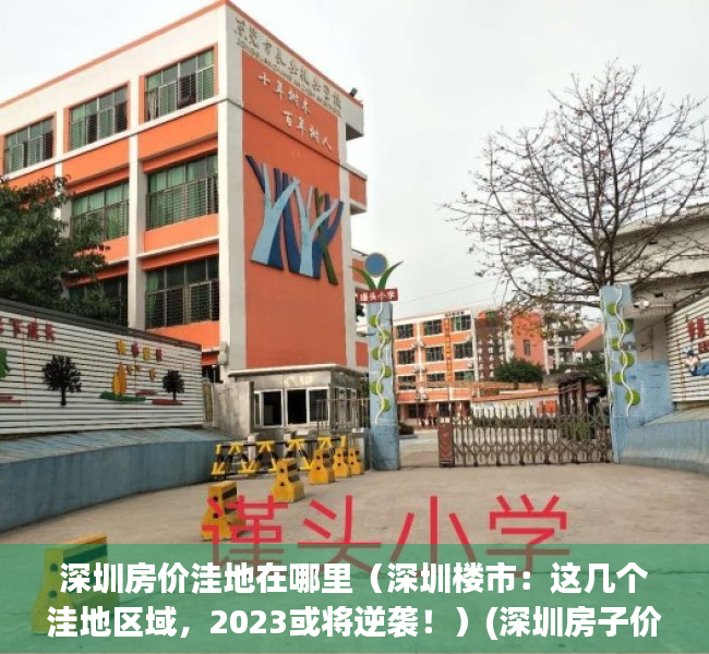 深圳房价洼地在哪里（深圳楼市：这几个洼地区域，2023或将逆袭！）(深圳房子价格洼地)