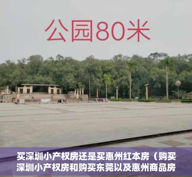 买深圳小产权房还是买惠州红本房（购买深圳小产权房和购买东莞以及惠州商品房，哪个更好更具优势呢？）