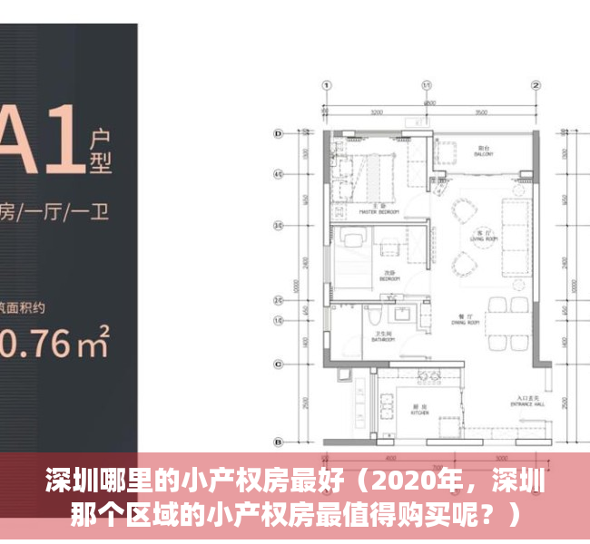深圳哪里的小产权房最好（2020年，深圳那个区域的小产权房最值得购买呢？）