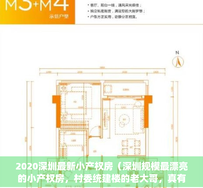 2020深圳最新小产权房（深圳规模最漂亮的小产权房，村委统建楼的老大哥，真有可能转正吗）