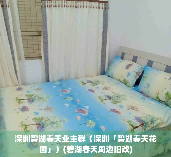 深圳碧湖春天业主群（深圳「碧湖春天花园」）(碧湖春天周边旧改)