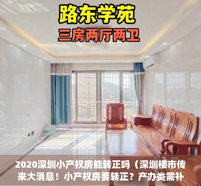 2020深圳小产权房能转正吗（深圳楼市传来大消息！小产权房要转正？产办类需补缴50%的地价（附解读））