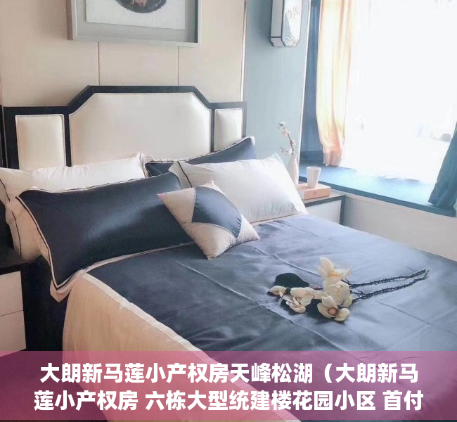 大朗新马莲小产权房天峰松湖（大朗新马莲小产权房 六栋大型统建楼花园小区 首付三成 银行分期5年）
